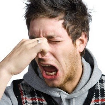 Illustration non contractuelle